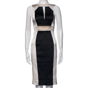 Karen Millan size 4 gorgeous Block dress